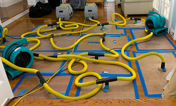 Professional Water Damage Restoration technician working in Piedmont, AL